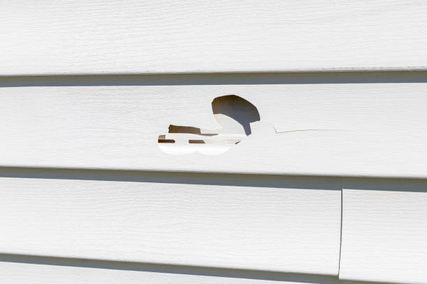 Best Steel Siding Installation  in Pompton Lakes, NJ