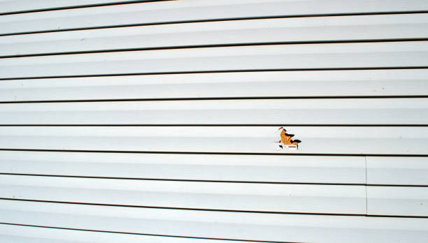 Best Insulated Siding Installation  in Pompton Lakes, NJ